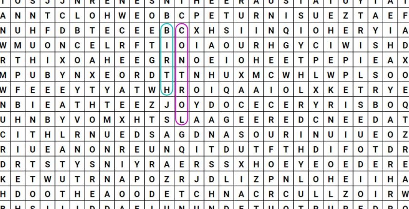 birth control wordsearch
