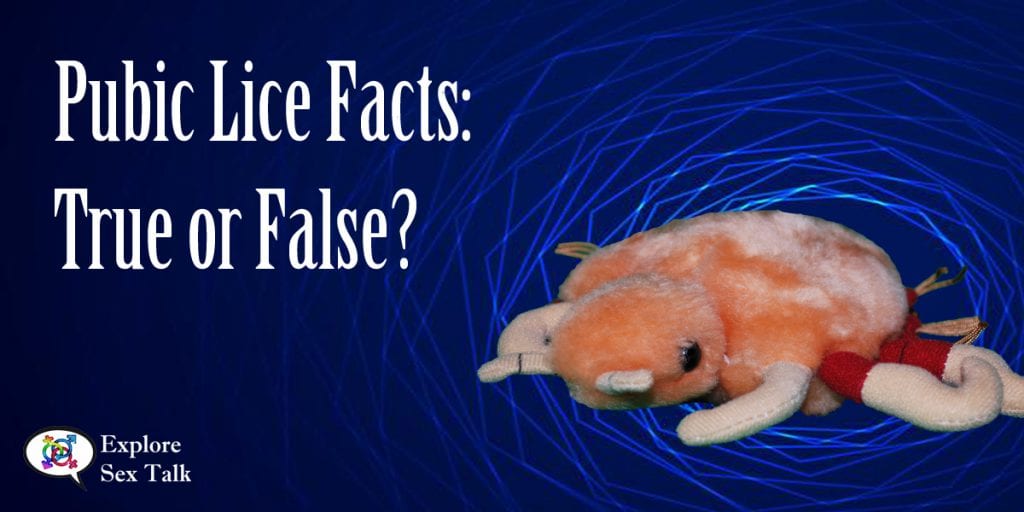 pubic lice facts