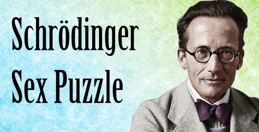Schrödinger sex puzzle