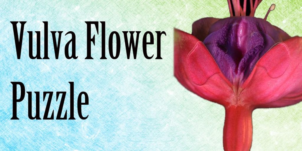 vulva flower puzzle
