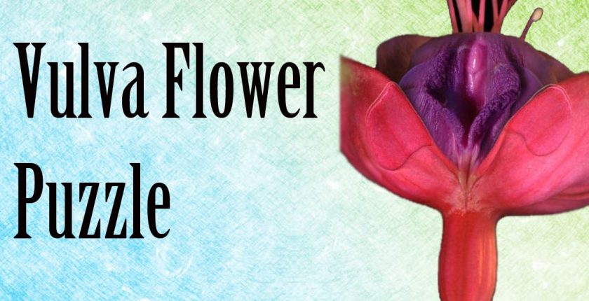 vulva flower puzzle