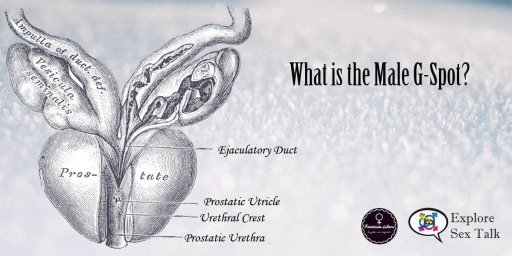 what is the male g-spot?