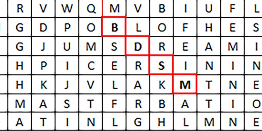 BDSM wordsearch