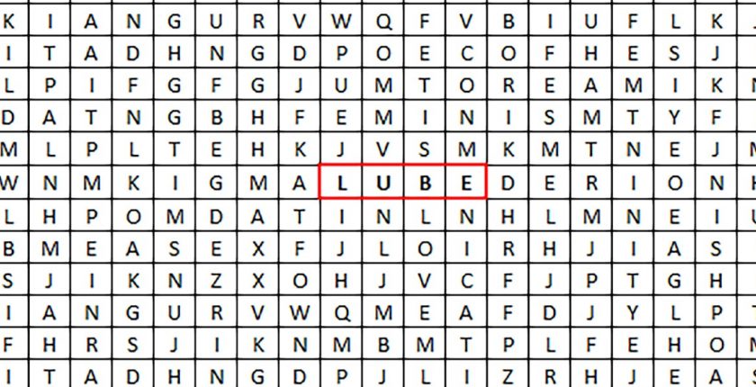 lube wordsearch