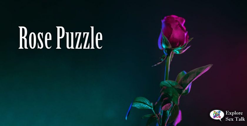rose puzzle