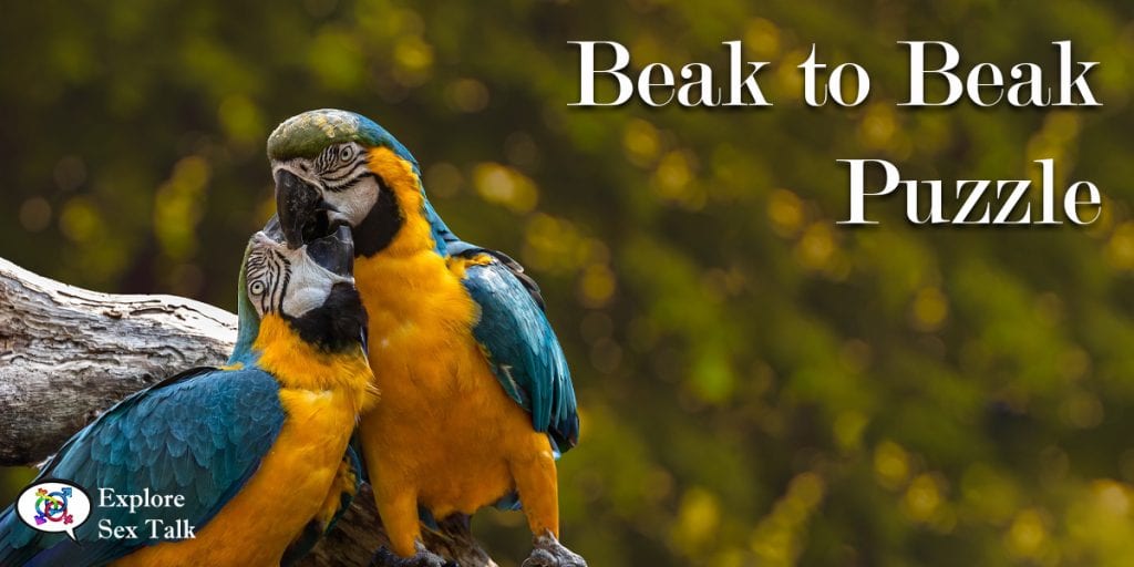 Parrots Love Puzzle