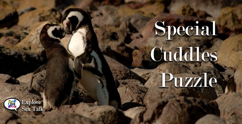 special cuddles puzzle