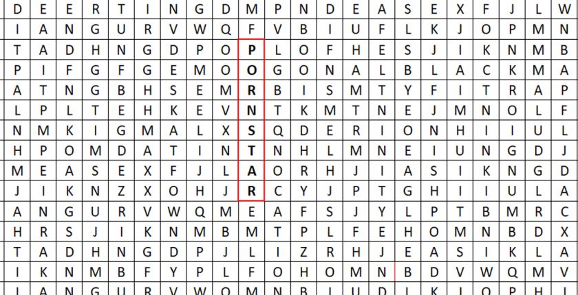 porn star word search